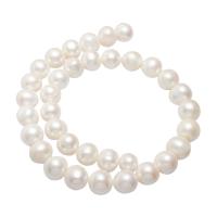 Potato Cultured Freshwater Pearl Beads, natural, white, 11-12mm Approx 0.8mm 
