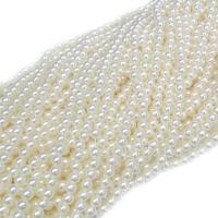 ABS Plastic Pearl Beads, Round & imitation pearl 
