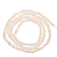 Potato Cultured Freshwater Pearl Beads, natural, white, 2-3mm Approx 0.8mm 
