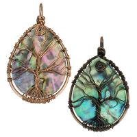 Brass Shell Pendants, with Abalone Shell, plated Approx 