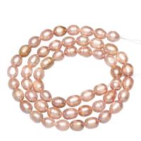 Rice Cultured Freshwater Pearl Beads, natural 5-5.5mm Approx 0.8mm 