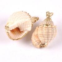 Shell Pendant, Conch, real gold plated, fashion jewelry & DIY, 20-40mm 