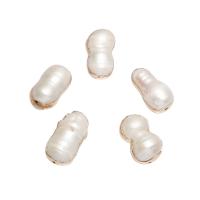 Rice Cultured Freshwater Pearl Beads, with Brass, gold color plated, white - Approx 0.8mm 