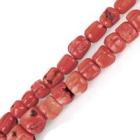 Perles en corail naturel, orange rougeâtre, 9-15x8-27x8-27mm Environ 1.5mm, Vendu par kg