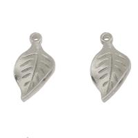 Stainless Steel Leaf Pendant, original color Approx 1mm 