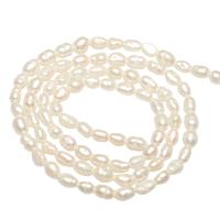 Rice Cultured Freshwater Pearl Beads, natural 3-4mm Approx 0.8mm Approx 14.1 Inch 