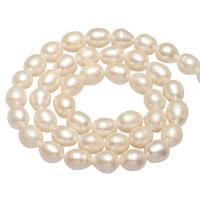 Potato Cultured Freshwater Pearl Beads, natural Approx 0.8mm Approx 14.1 Inch 