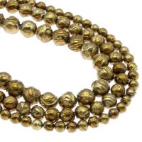 Marine Fossil Beads, gold color plated Approx 1mm Approx 14.9 Inch 