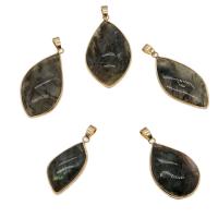 Labradorite Pendants, with Brass, gold color plated Approx 3mm 