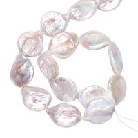 Keshi Cultured Freshwater Pearl Beads, Button, natural, white, 19-20mm Approx 0.8mm Approx 15 Inch 