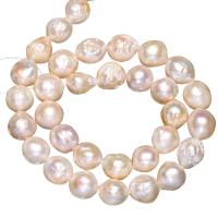 Potato Cultured Freshwater Pearl Beads, natural, white, 10-12mm Approx 0.8mm Approx 15 Inch 