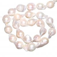Perlas Cultivadas Nucleadas de Agua Dulce, Perlas cultivadas de agua dulce, Gota, natural, Blanco, 11-13mm, agujero:aproximado 0.8mm, longitud:aproximado 15 Inch, Vendido por Sarta