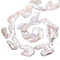 Biwa Cultured Freshwater Pearl Beads, natural, white, 20-30mm Approx 0.8mm Approx 15 Inch 