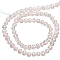 Potato Cultured Freshwater Pearl Beads, natural 3.5-4mm Approx 0.8mm Approx 15 Inch 
