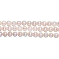 淡水養殖の真円真珠, 天然有核フレッシュウォーターパール, ラウンド形, 天然, 無色, 7-8mm, 穴:約 0.8mm, 長さ:約 15 インチ, 売り手 ストランド