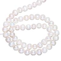 Potato Cultured Freshwater Pearl Beads, natural, with troll 7-8mm Approx 0.8mm Approx 15 Inch 
