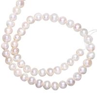 Potato Cultured Freshwater Pearl Beads, natural 8-9mm Approx 0.8mm Approx 15 Inch 
