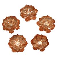 Iron Bead Caps, Flower, rose gold color plated Approx 1.8mm 