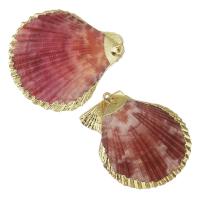Brass Shell Pendants, with Shell, gold color plated, fashion jewelry, 31-38x36-40x5-6mm Approx 2mm 