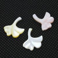 White Shell Pendants, Leaf, vintage & fashion jewelry & DIY Approx 1mm 