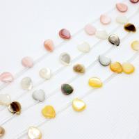 Natural White Shell Beads, Teardrop, Mini & cute & fashion jewelry Approx 1mm 