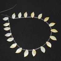 Natural White Shell Beads, Leaf, cute & fashion jewelry Approx 1mm 