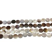 Natural White Shell Beads, Flat Round, vintage & fashion jewelry, mixed colors, 12mm Approx 1mm Approx 14.9 Inch, Approx 
