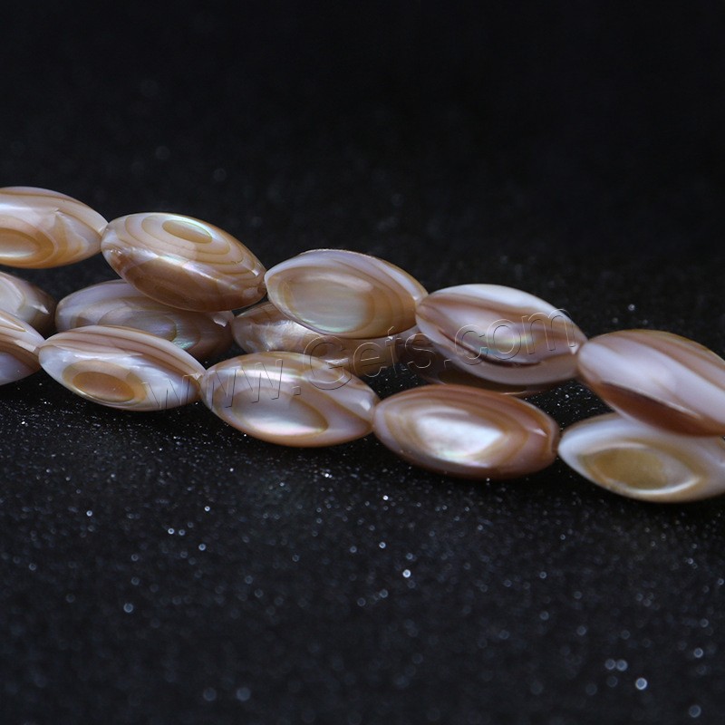 Perles de coquille de mer, Brown Lip Shell, avec Seedbead, poli, normes différentes pour le choix, Longueur:Environ 14 pouce, Vendu par brin
