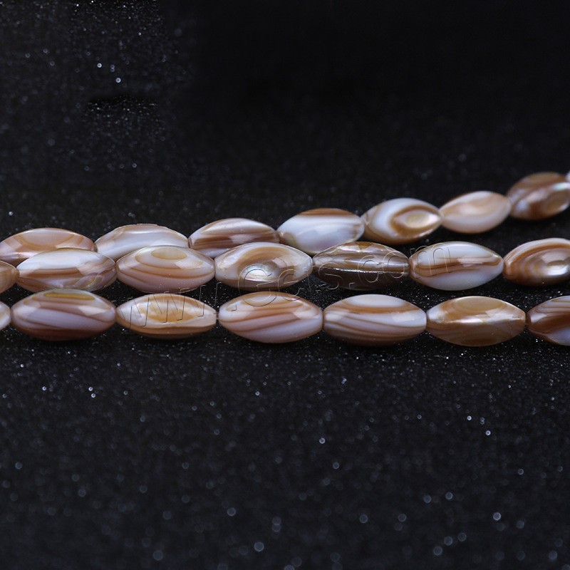 Perles de coquille de mer, Brown Lip Shell, avec Seedbead, poli, normes différentes pour le choix, Longueur:Environ 14 pouce, Vendu par brin