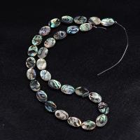 Abalone Shell Beads, Flat Oval, DIY Approx 15 Inch 