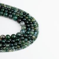 Perles en pierre d'agate mousse naturelle, Rond, vert, protéger l'environnement, sans nickel, plomb et cadmium Vendu par brin