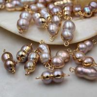 perle d'eau douce cultivée accessoire, archide, dorure, envoyé au hasard & Style baroque & naturel & DIY, violet Vendu par sac