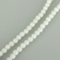 Perles en corail naturel, Rond, poli, DIY, blanc, 6.5mm Environ 1.5mm Environ 15.5 pouce, Environ Vendu par brin