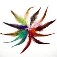Feather Decoration, Chicken Feather, DIY 10~15cm 