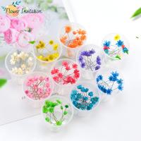 DIY Jewelry Finding Kit, Dried Flower, durable 
