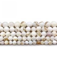 Natural White Shell Beads, Round, polished, DIY Approx 14.2 Inch 