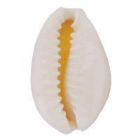 Natural Seashell Pendant, Shell, DIY, white 