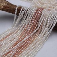 Rice Cultured Freshwater Pearl Beads, Ellipse, natural, natural & DIY 