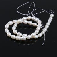 Rice Cultured Freshwater Pearl Beads, natural & DIY  5-6mm7-8mm8-9mm 