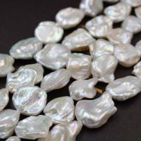 Keshi Cultured Freshwater Pearl Beads, irregular, Baroque style & natural & DIY, white, 18-22mm 