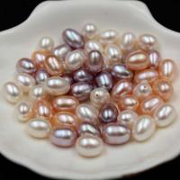 Rice Cultured Freshwater Pearl Beads, Round, plated, DIY  6-8mm, US Ring .5 
