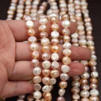 Potato Cultured Freshwater Pearl Beads, Keshi, Baroque style & DIY, mixed colors, 8-9mm 