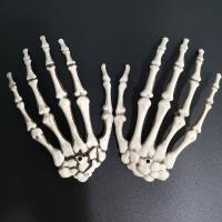 Plastic Tricky Toy, Hand, injection moulding, Halloween Jewelry Gift, white, 155*100mm 