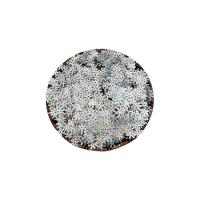 PET Sequin, plated, cute & DIY, 7mm, Approx 