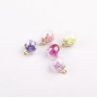 Glass Pendants, with Dried Flower, Round & DIY 20mm 