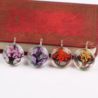 Inner Flower Lampwork Pendants, with Dried Flower, Round, DIY, mixed colors 