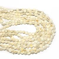 Natural White Shell Beads, Flat Round, DIY, white 