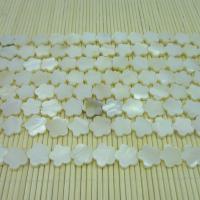 Natural White Shell Beads, Plum Blossom, polished, DIY white 