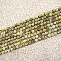 Picture Jasper Beads, Round, polished, DIY 