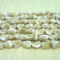Natural White Shell Beads, polished, DIY, white 